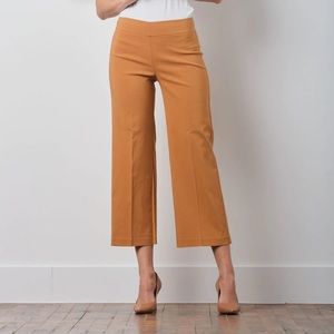 Avenue Montaigne Alex Maroon Pants